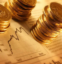 浙江医药2024年第一季度报告