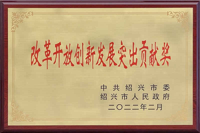 2021年度“改革开放创新发展突出贡献奖”.jpg